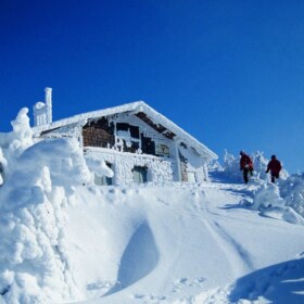 ¿Te gustan los paisajes nevados?