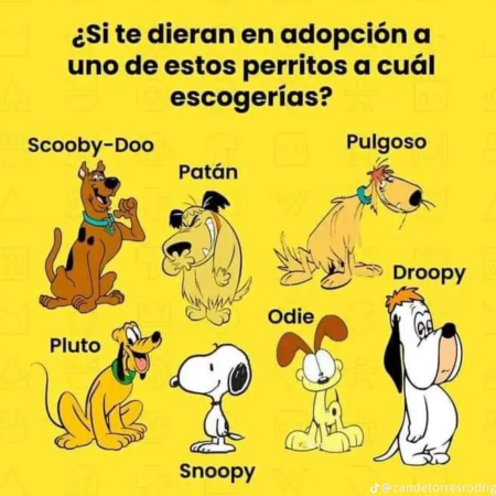 ¿A quién adoptas?